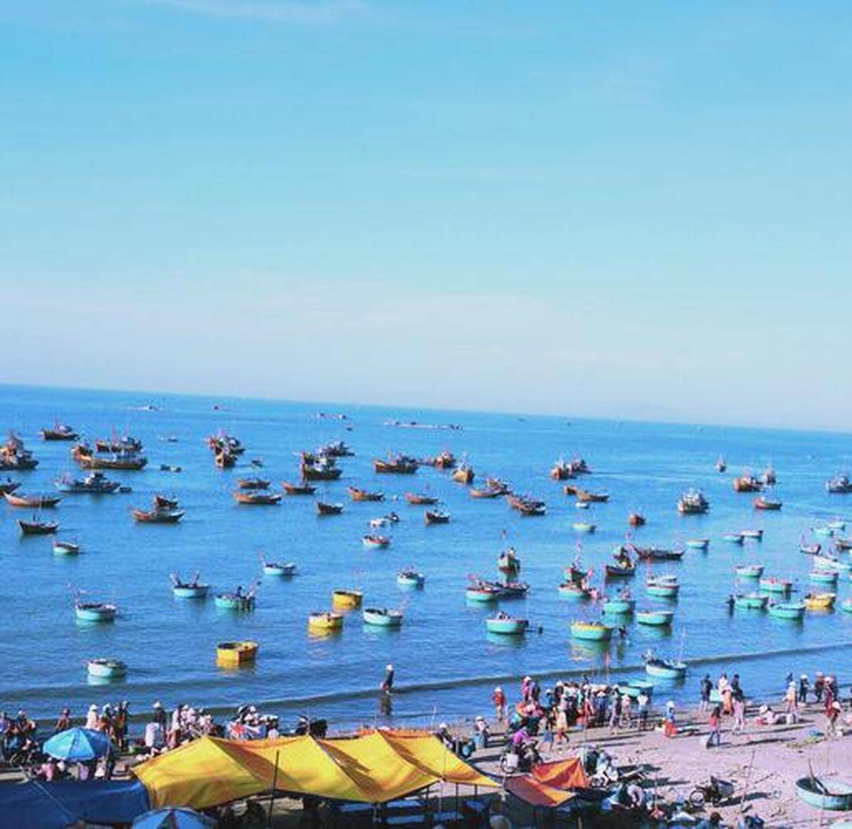 程越南之旅体验异国风情澳门新葡京网站北海启